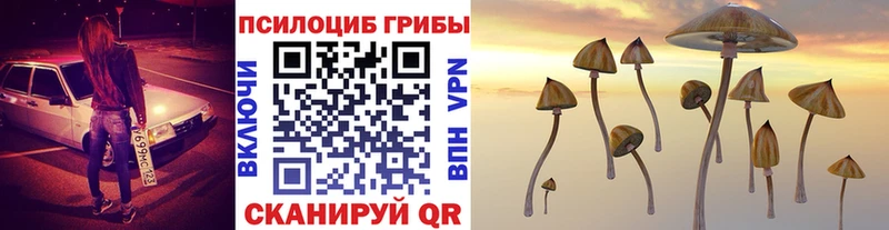 Псилоцибиновые грибы Magic Shrooms darknet телеграм Кушва